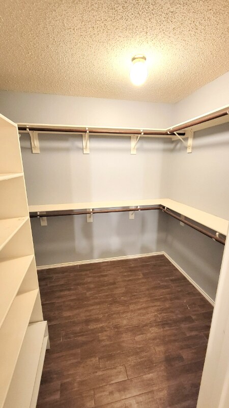 Building Photo - 2820 Golden Meadow Ave