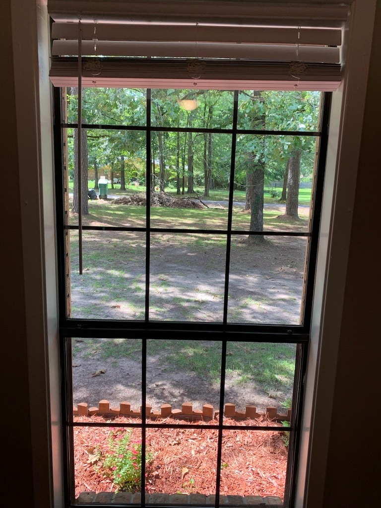 Guest bedroom view - 1903 Ginnett Rd
