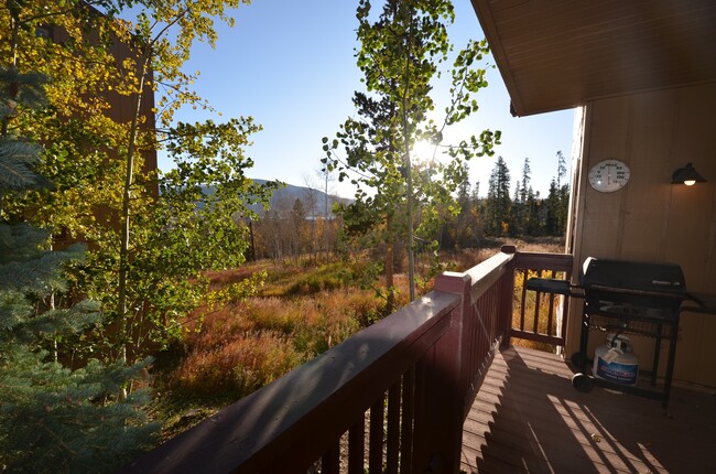 Building Photo - Long Winter Lease!  Fully Furnished, on bu...