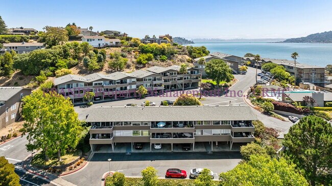 Building Photo - The Best View in Southern Marin! Luxury To...