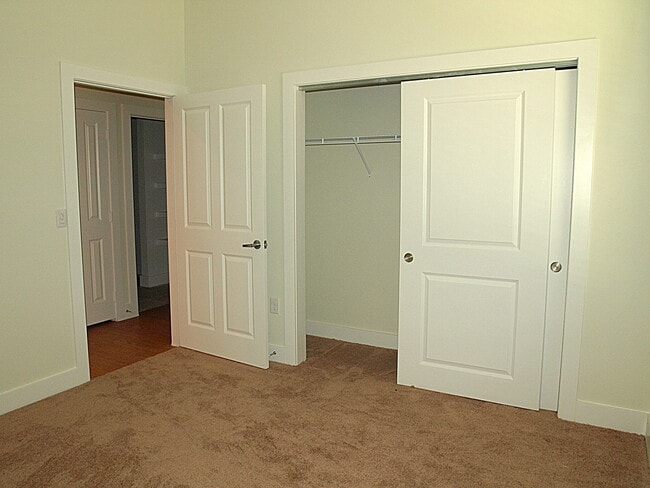 large closets - 2400 Louis Henna Blvd