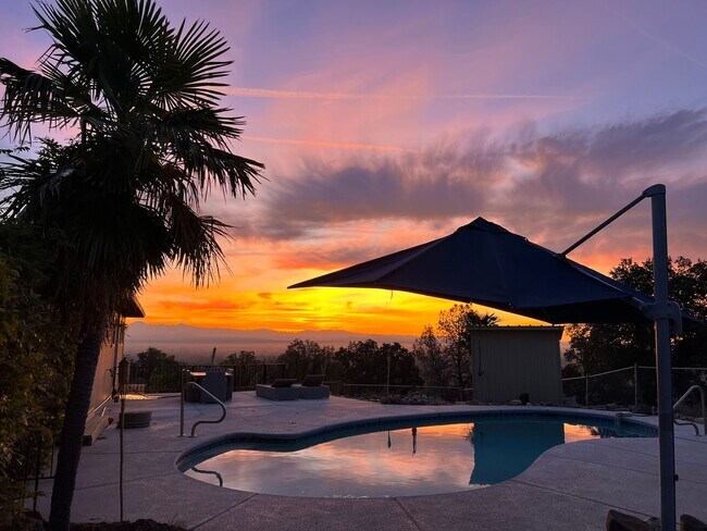 Building Photo - This Anderson Home is a Must See! Amazing ...