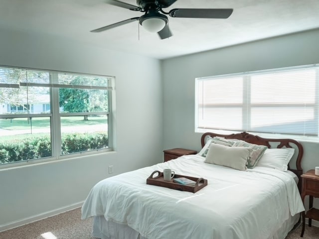 Building Photo - 453 Dolphin St