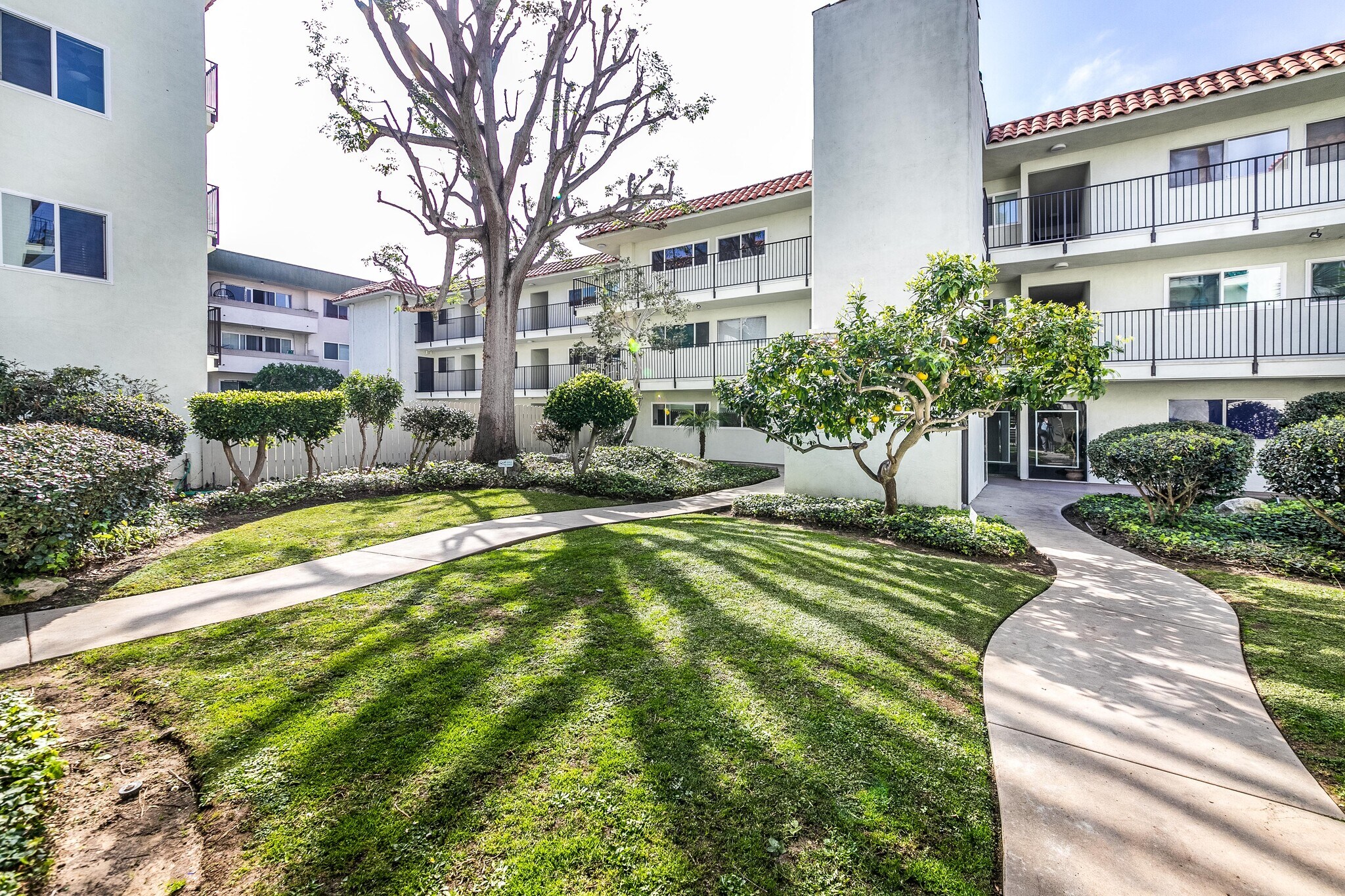 Common area courtyard - 1720 Ardmore Ave