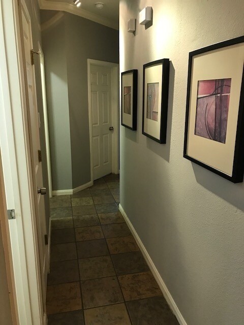 Building Photo - 807 Windhurst