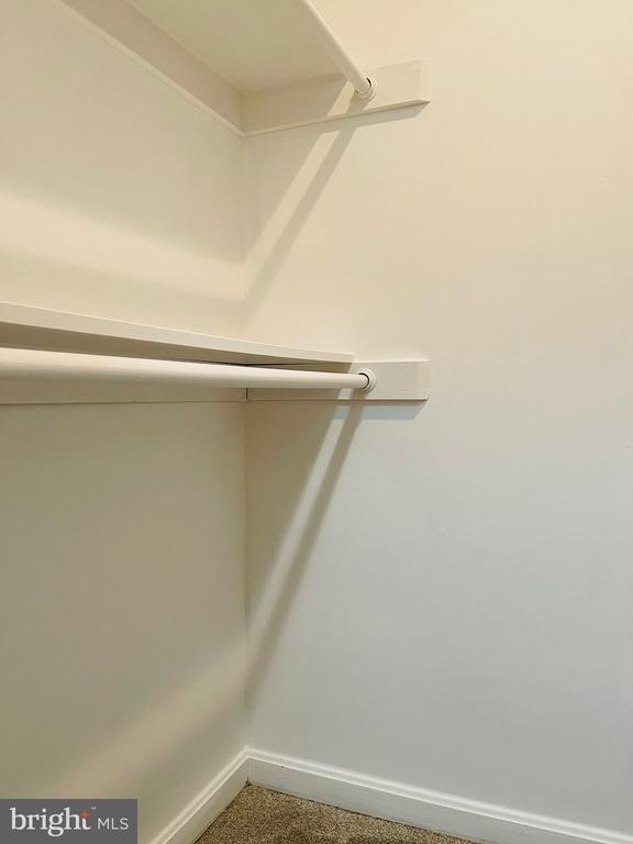 Building Photo - 4215 Mozart Brigade Ln