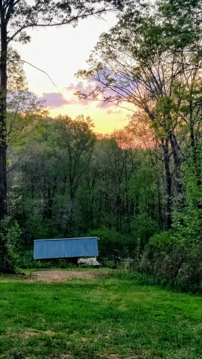 rear yard - 379 Sacred Heart Way