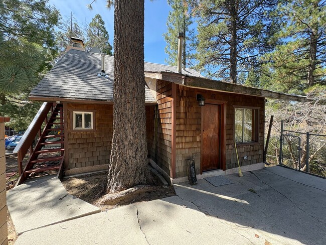 Building Photo - Cozy Meets Modern – Beautifully Upgraded Cabin in the Pines