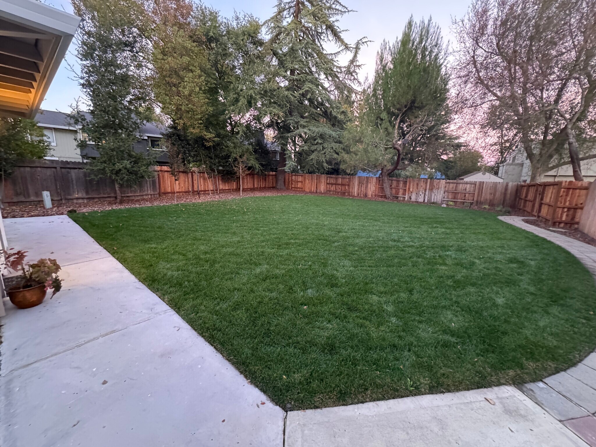 Shared backyard - 4903 Cowell Blvd