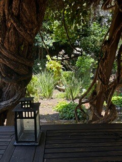 Garden, center fountain and pond from under trumpet-vine trellis - 2615 Parker St