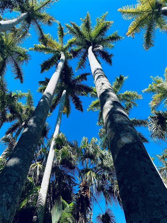 Building Photo - 1675 Blakemore Ln