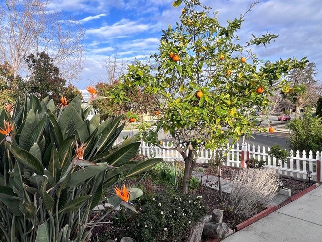 Building Photo - 801 Betlin Ave