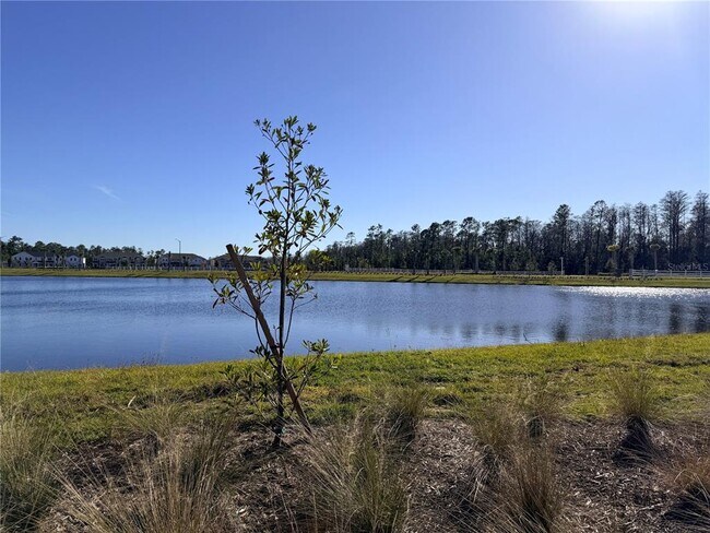 Building Photo - 9948 Red Canoe Aly