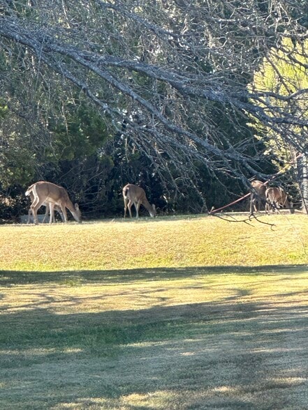 Building Photo - 130 Private Road 4806