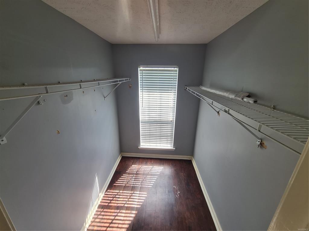 Building Photo - 3661 Horseshoe Cir