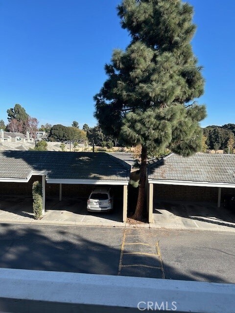 Building Photo - 7311 Coho Dr