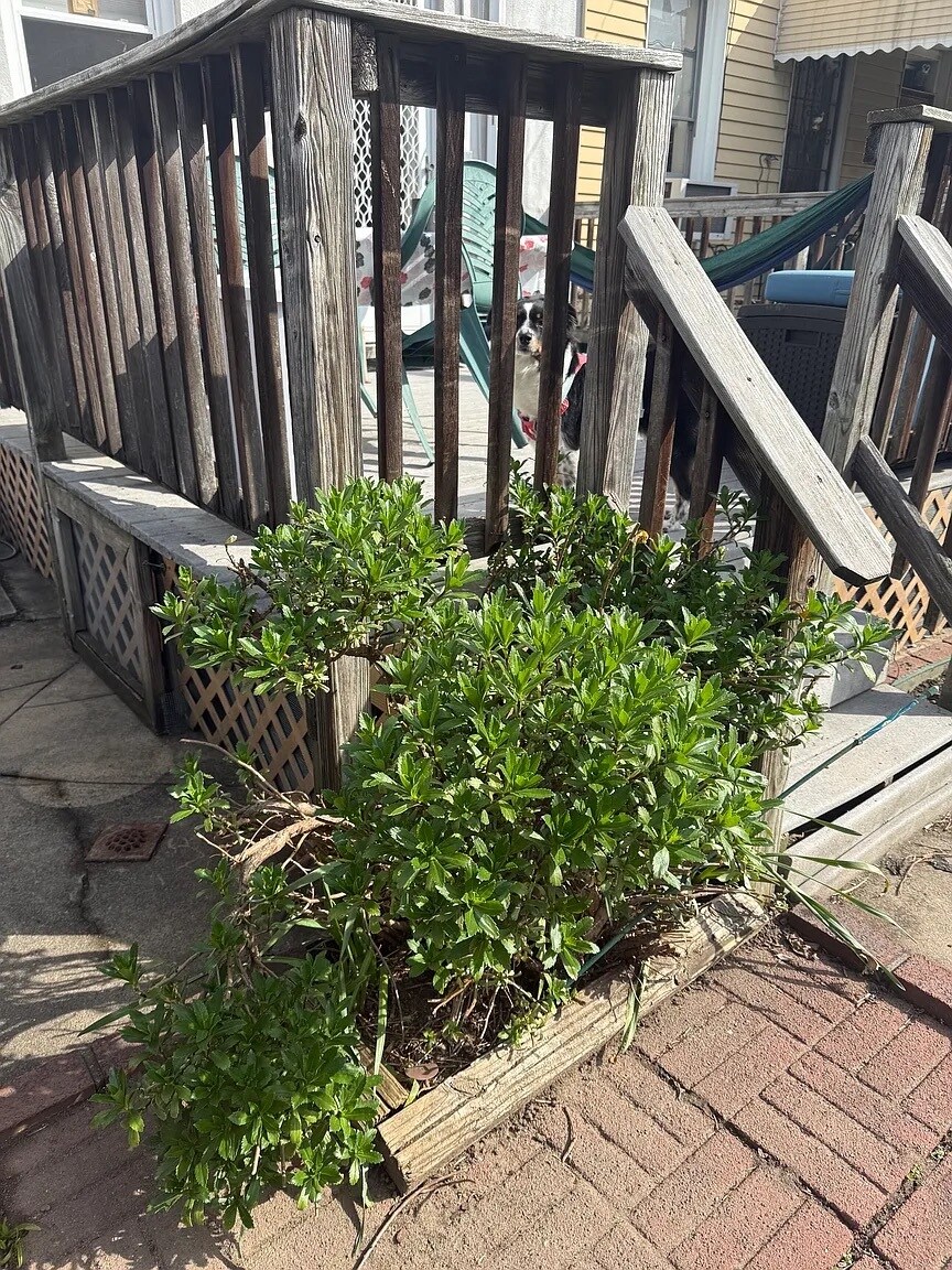 Building Photo - 6408 Palmetto St