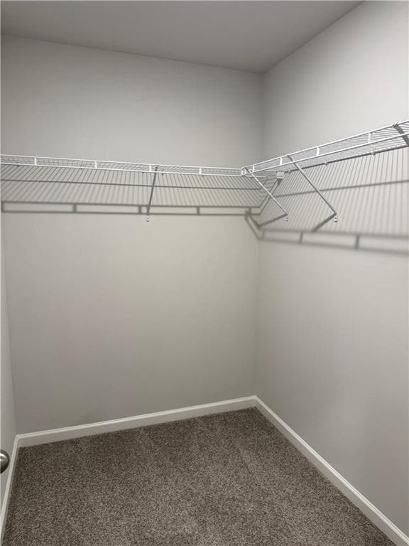 Building Photo - 250 Countryside Ln