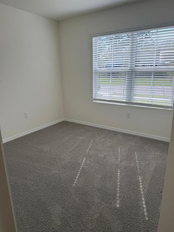 Building Photo - 299 Conway Ave