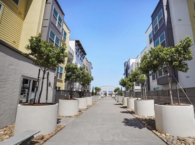 Building Photo - 8300 Oceanview Terrace