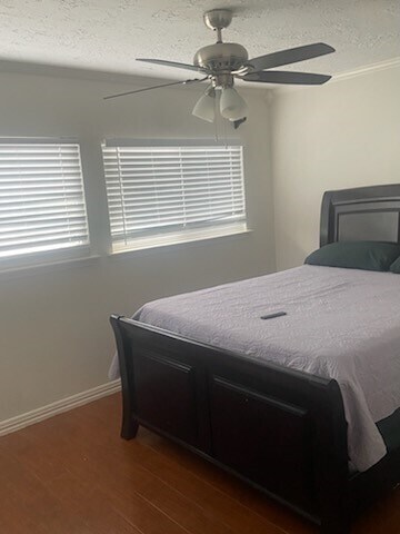 Building Photo - 3538 Palm Grove Dr