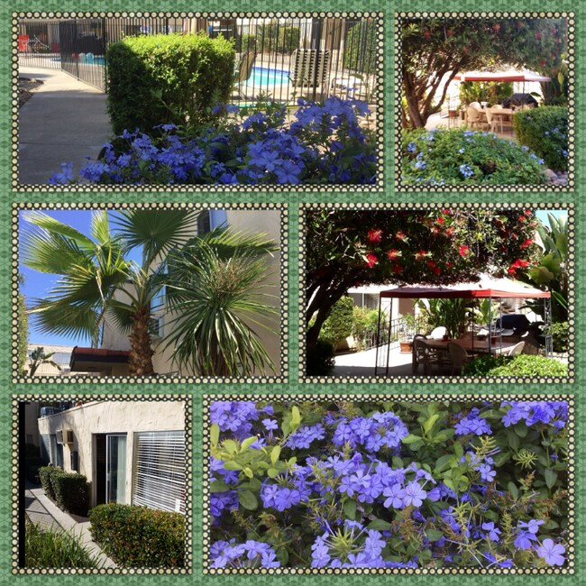 Building Photo - 853 Cherrywood Way