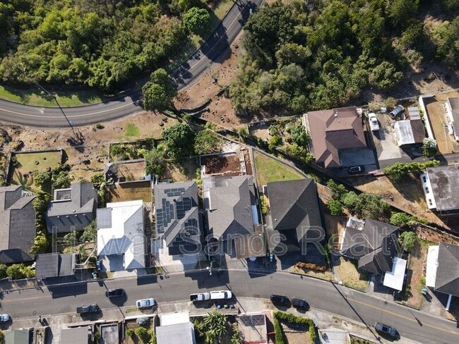 Building Photo - 1242 Mamalu St