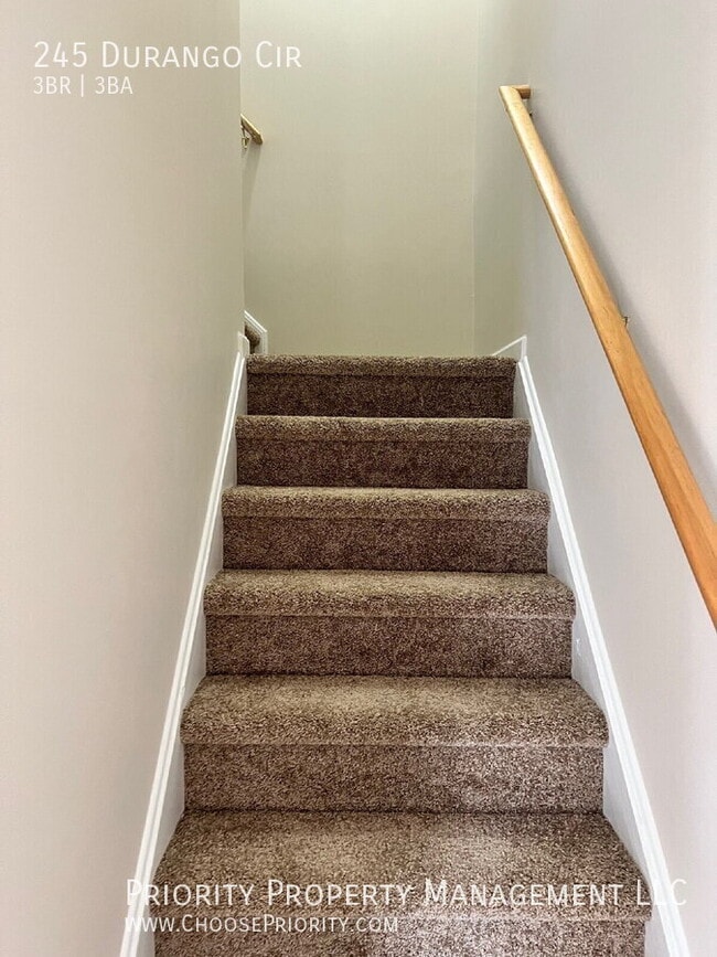 Building Photo - 245 Durango Cir