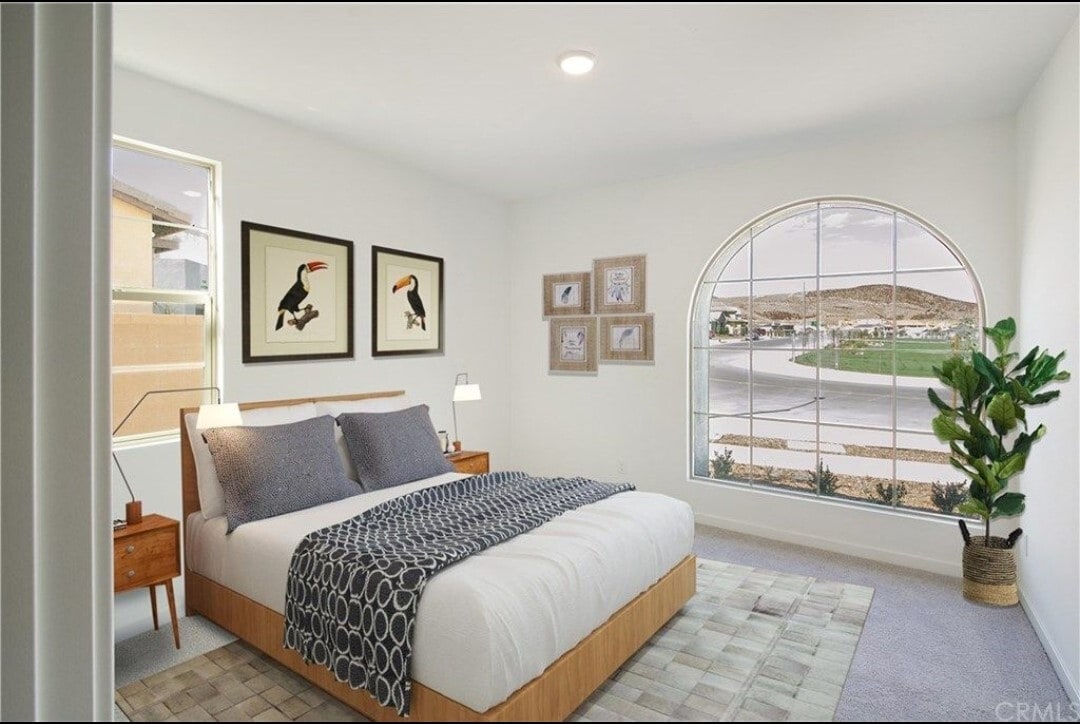 Downstairs Suite-Room #2 - 31192 Campolina Way