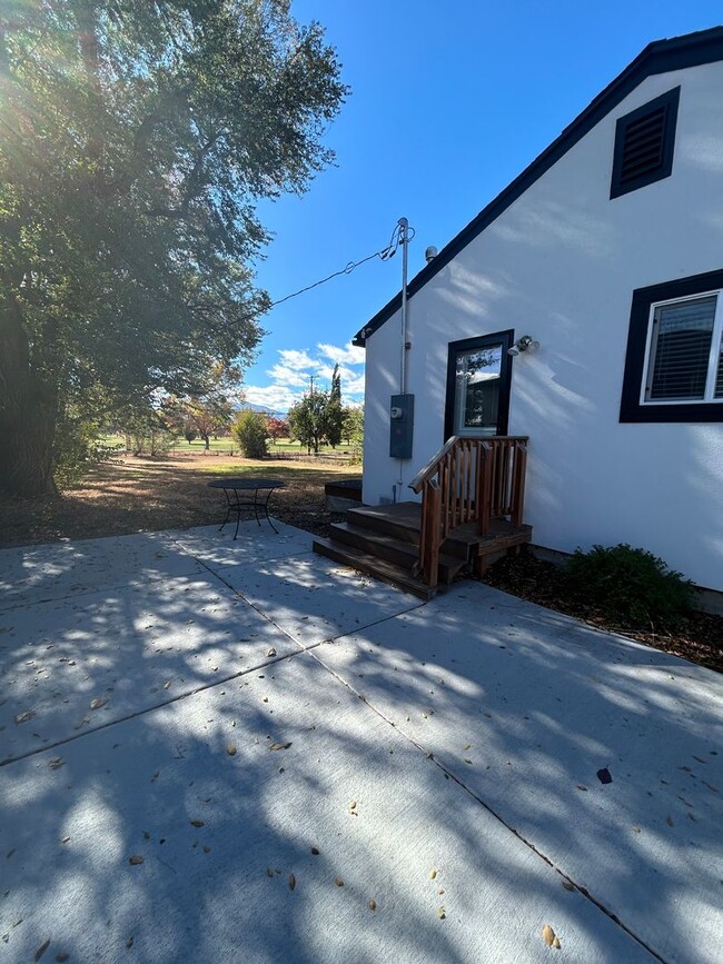 Building Photo - Newly Remodeled Ranch Backs to Patty Jewett