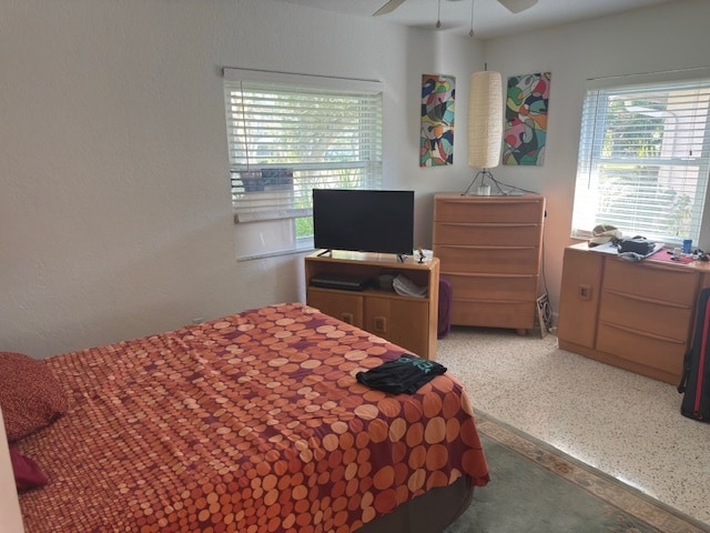 Building Photo - 4921 Hyacinth Way S