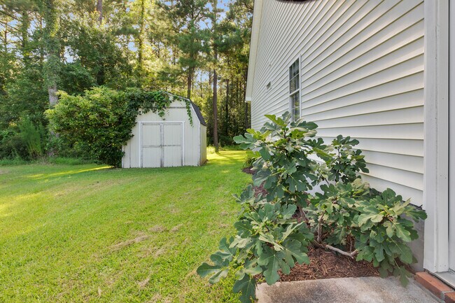 Building Photo - 231 Bishop Dr