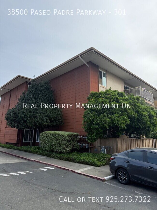 Building Photo - 38500 Paseo Padre Pkwy