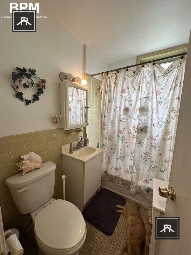 Building Photo - 1 bedroom in Brighton MA 02135