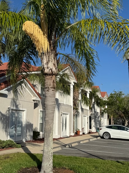 Primary Photo - 100 Palm Harbor Pkwy