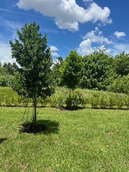 Building Photo - 4393 Hammock Grove Dr