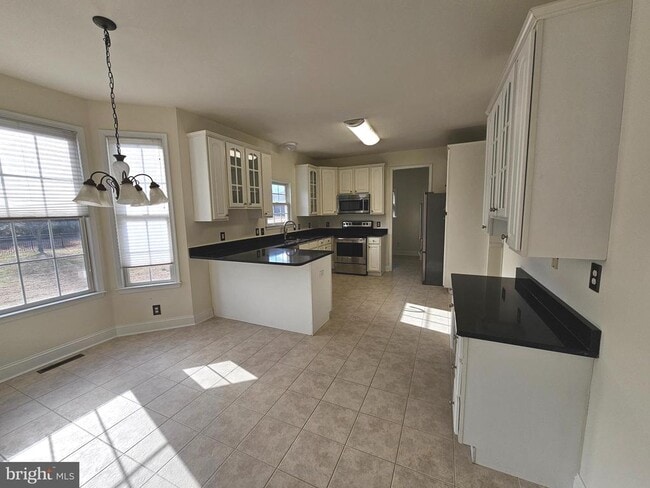 Building Photo - 165 Pitch Kettle Ct