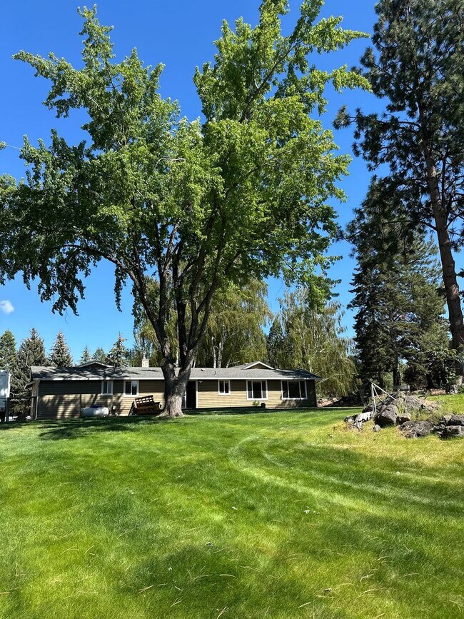 Building Photo - 3 Bed | 2 Bath | 1.17 Acres | Single-Level Home | Mountain Views