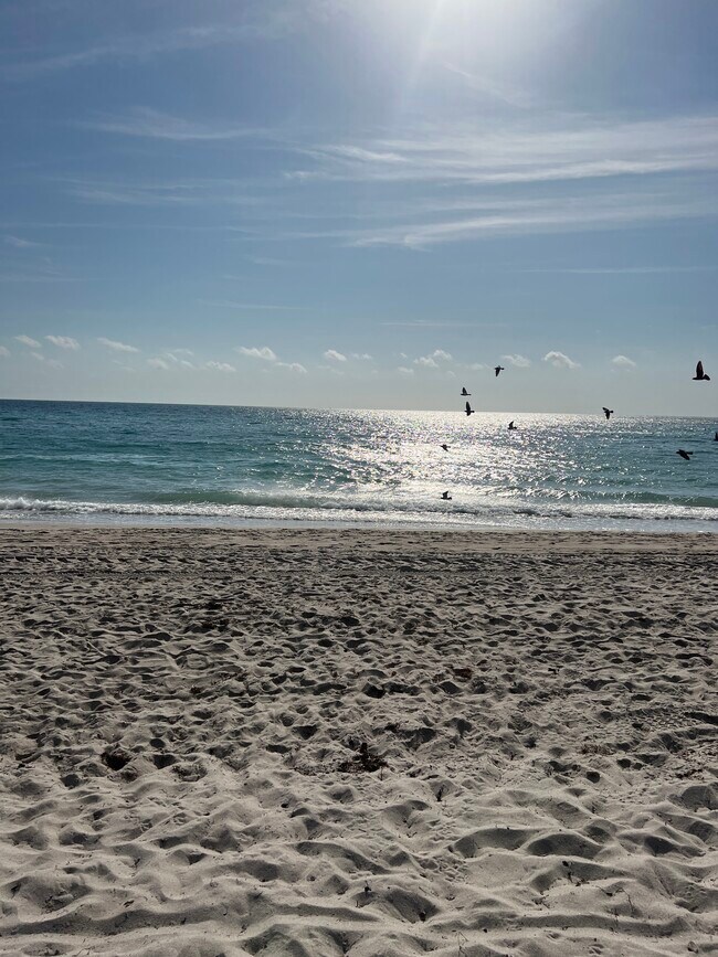 Building Photo - 2030 S Ocean Dr