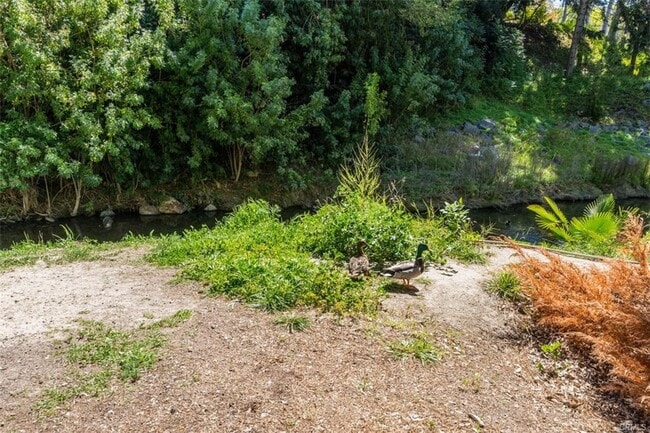 Building Photo - 119 Via Estrada