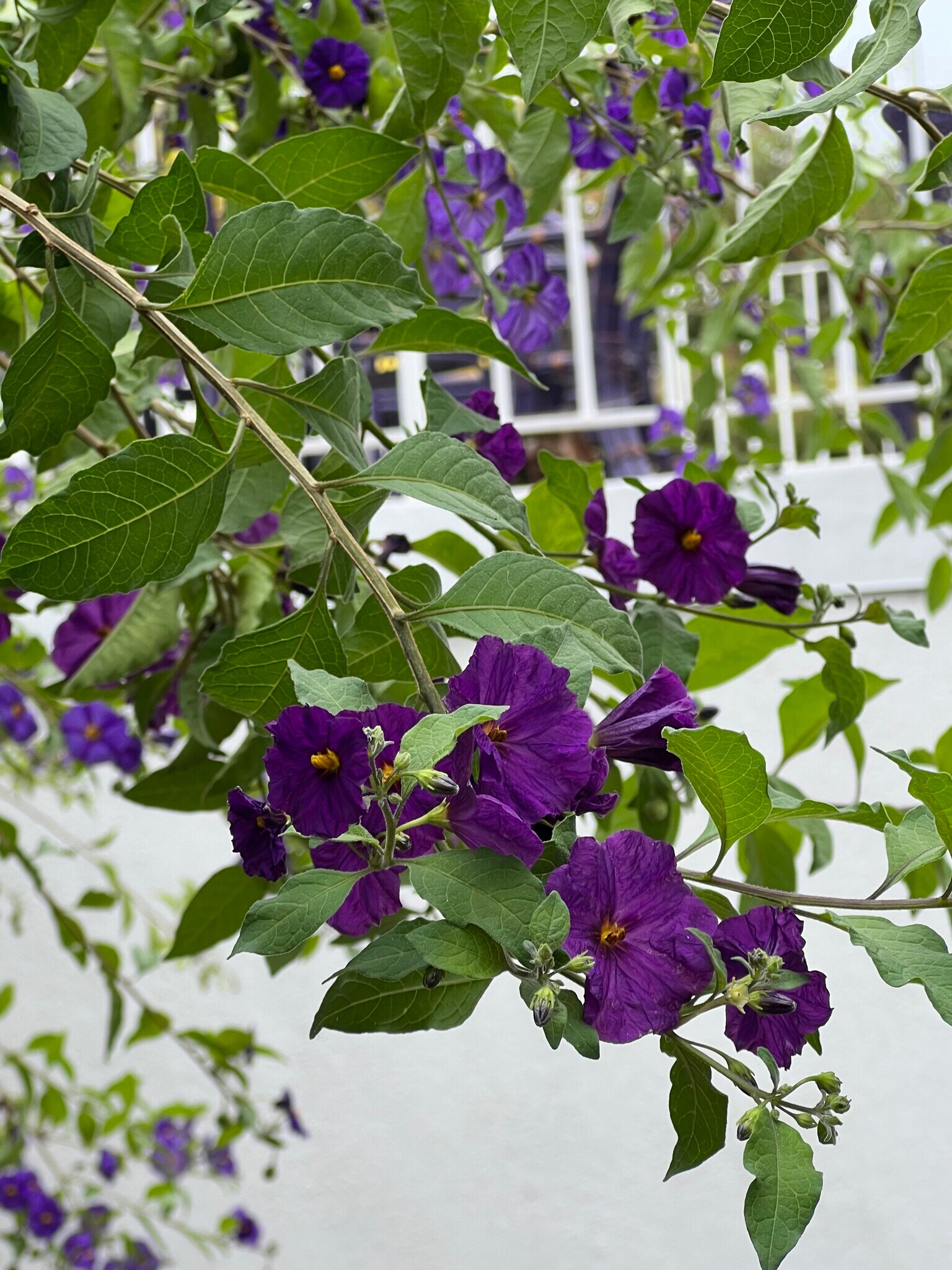 Building Photo - 12 Coach Rd