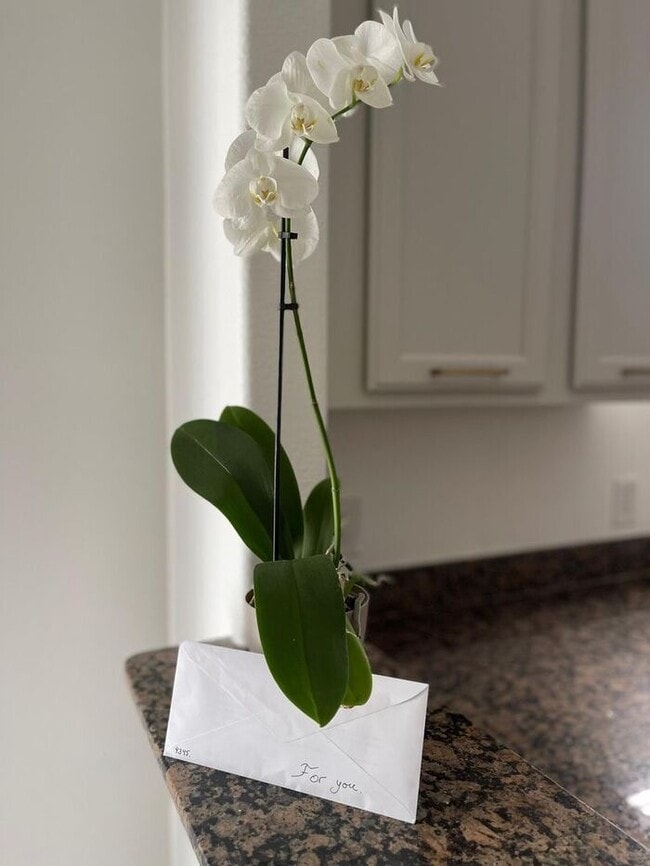 Building Photo - Beautifully Updated 3-Bedroom Townhouse in...