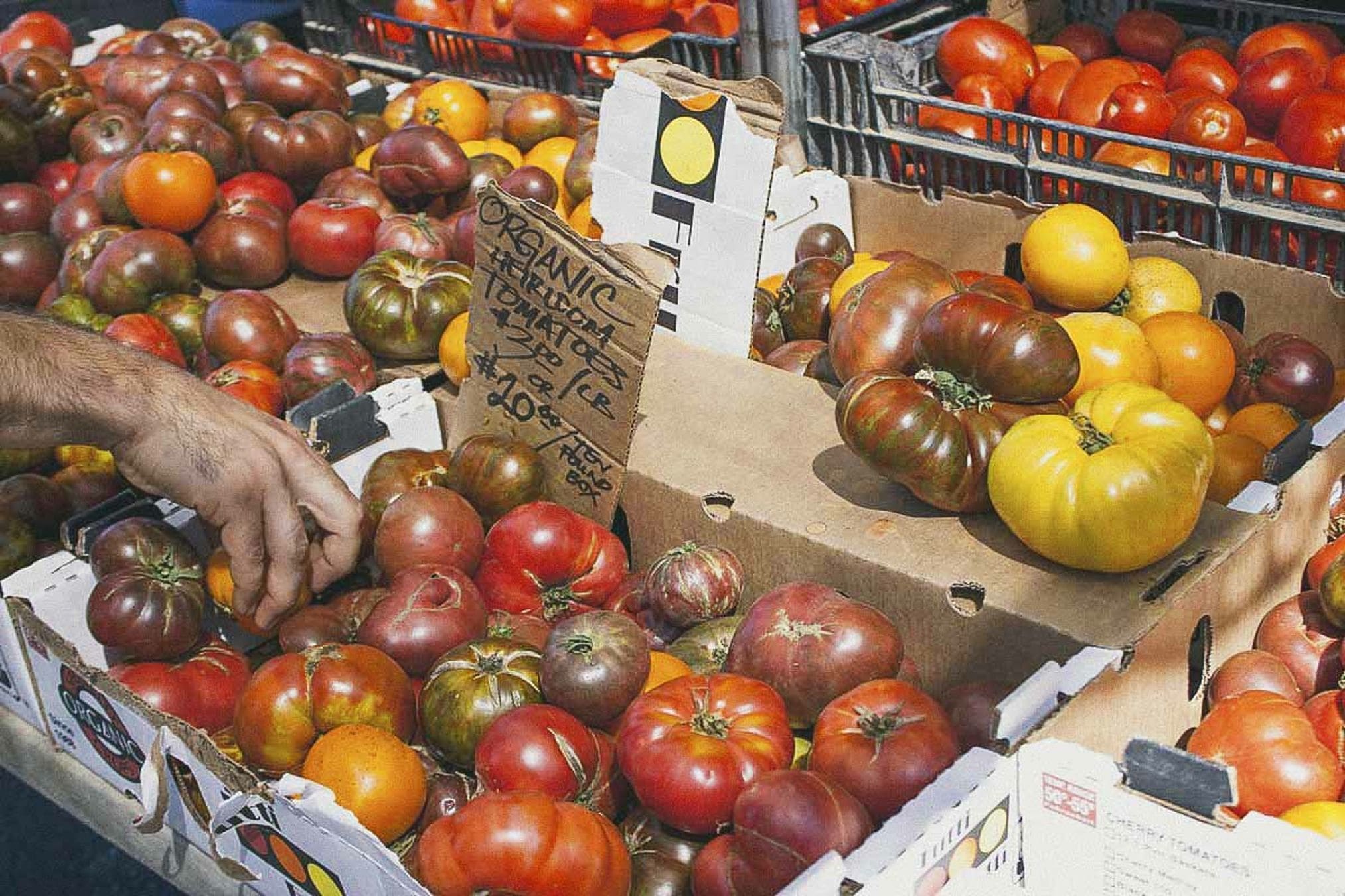 Building Photo - 3829 Glenfeliz Boulevard