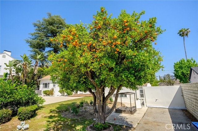 Building Photo - 1635 Grandview Ave