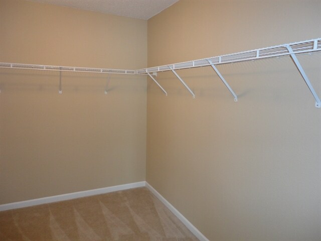 Building Photo - 17378 Austrian Pine Way