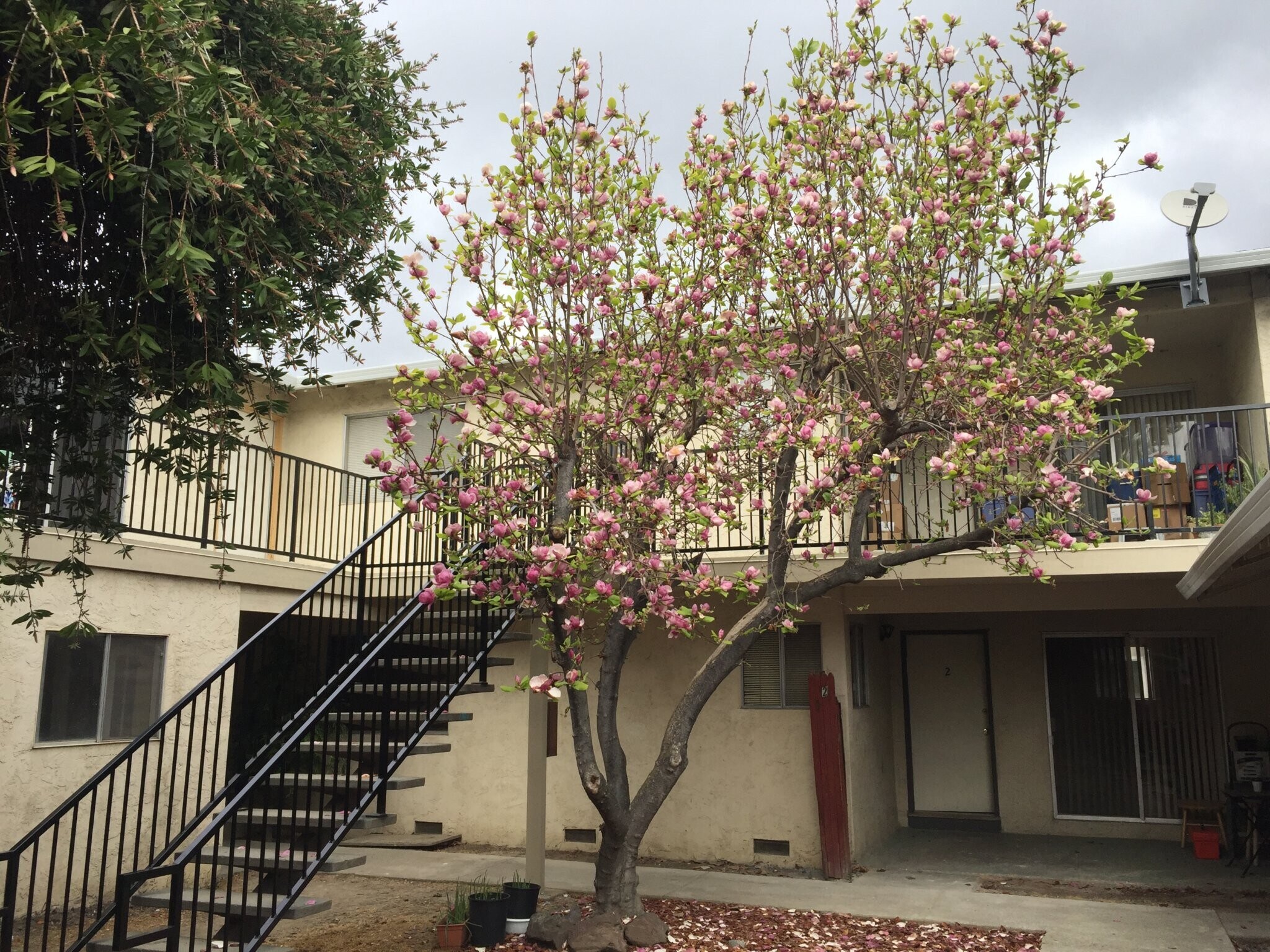 Building Photo - 872 Gallatin Dr