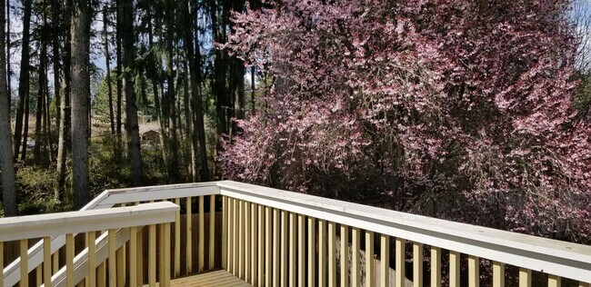 Building Photo - 4 bedroom plus den, living room and family room. North Thurston School Disctrict.