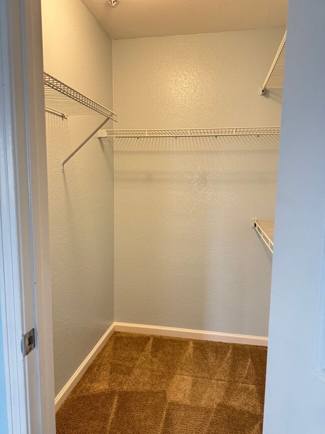 Building Photo - Magnificent 1 Bedroom Condo in Triana in Corona Ranch