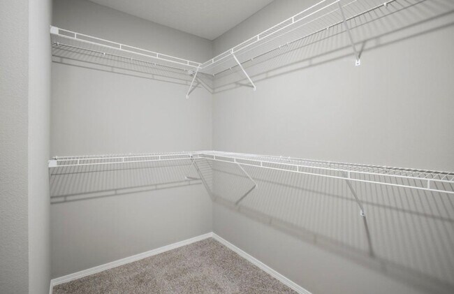 Building Photo - 4/2 hone in republic