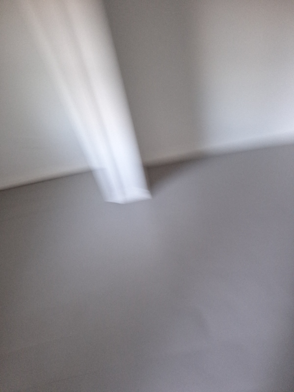 Building Photo - 1449 N Ronald Reagan Blvd